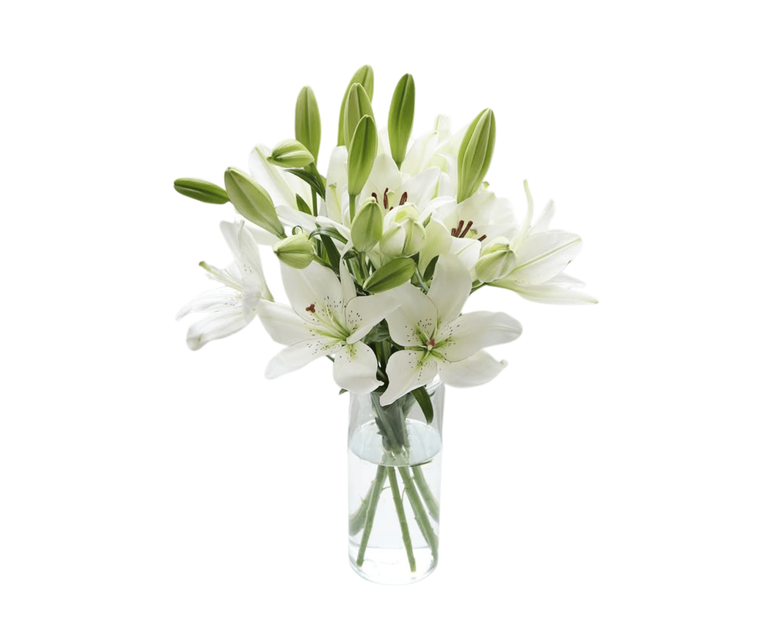 Bunga Meja Lily Premium