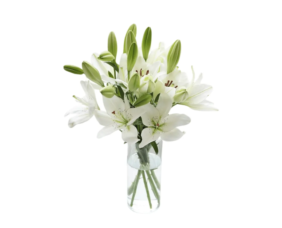Bunga Meja Lily Premium